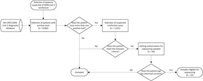 Occurrence of SARS-CoV-2 reinfections at regular intervals in Ecuador